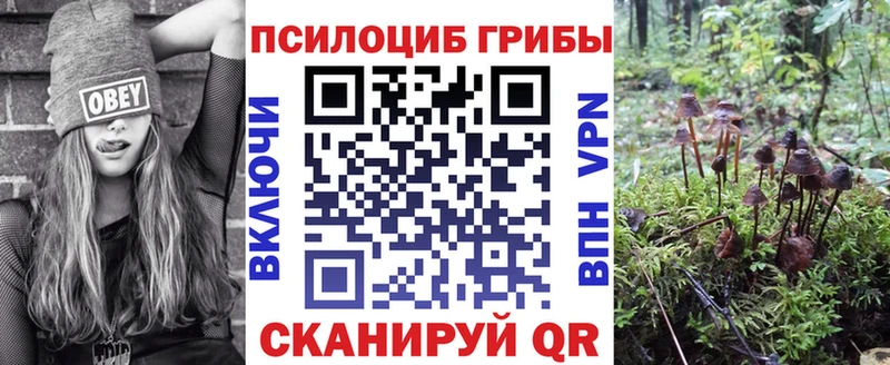 Галлюциногенные грибы прущие грибы  Новоржев 